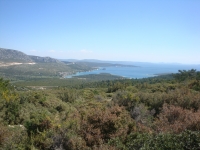 DSC08561