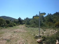 DSC08563
