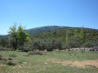 DSC08579