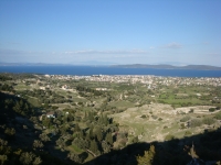 DSC08661