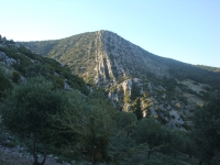 DSC08662
