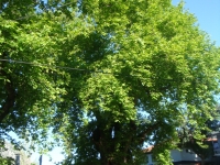 DSC08192