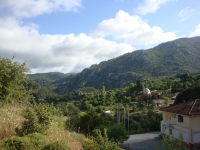 DSC08195