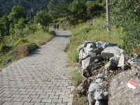 DSC08196