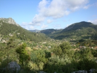 DSC08200