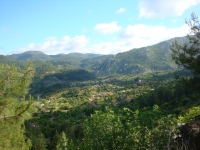 DSC08202