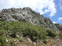 DSC08219