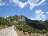 DSC08221