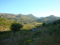 DSC08250