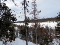 IMG_2684
