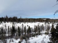 IMG_2686