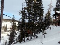 IMG_2688