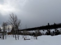 IMG_2706