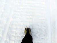 IMG_2753