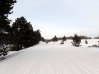 IMG_2755