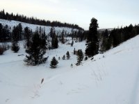 IMG_2772