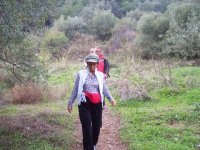 Behzat Tepesi
