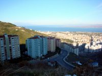 DSC01049