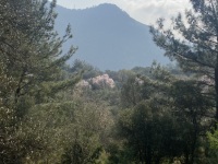 IMG_1482