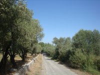 DSC06627