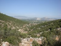 DSC06650