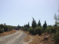 DSC06651