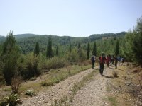 DSC06656