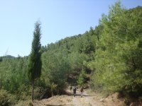 DSC06658