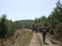 DSC06659