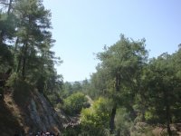 DSC06669