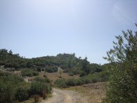 DSC06671