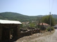 DSC06676