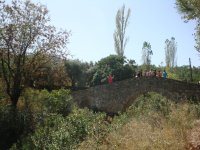 DSC06685