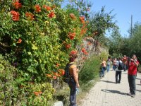 DSC06690