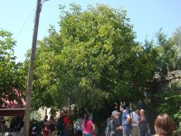 DSC06691