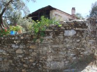 DSC06699