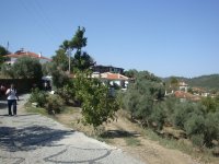 DSC06712