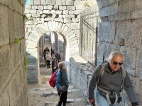 8f60983f-a58b-4afd-8ed3-496e3f86f59f