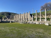 IMG_4976