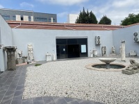 IMG_1471