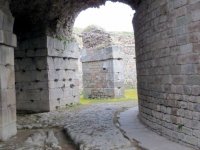 IMG_2476