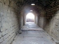 IMG_2480
