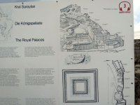 IMG_2567