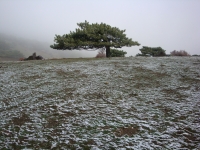 DSC00378