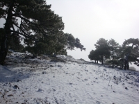 DSC00401