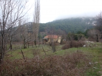 DSC00437