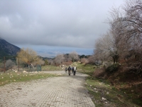 DSC00442