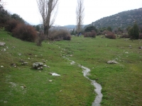 DSC00449