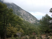 DSC00456
