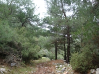 DSC00465